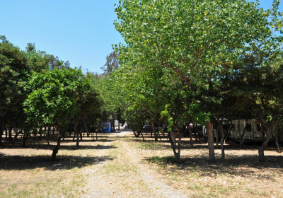 Campeggio Appartamento Calanovella